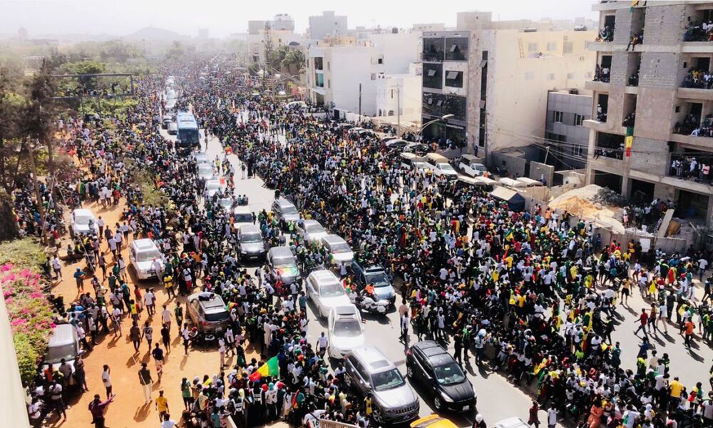 Senegal's Taranga lions