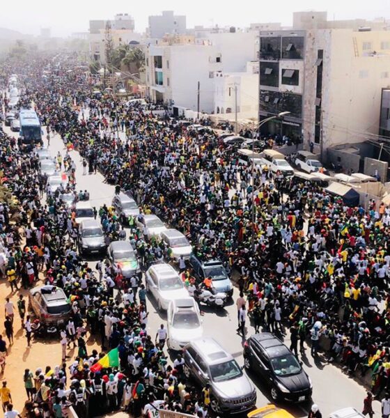 Senegal's Taranga lions